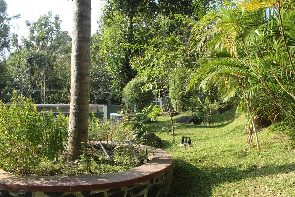Green View Holiday Resort Kandy Extérieur photo